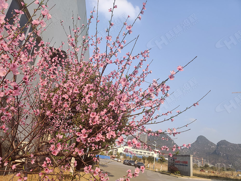 桂林鸿程花团锦簇，满园春色，邀您一起共赏春景，共商大计！